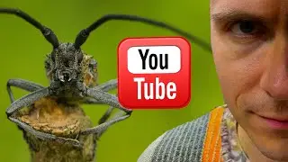 Где смотреть Макровидео, если ютуб заблокируют?