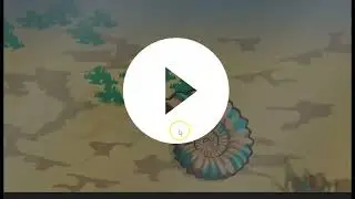 Ammonite Fossil (Science)