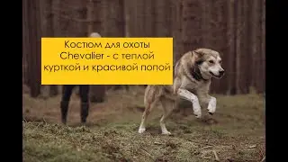 Chevalier Setter hunting suit (demi-season)