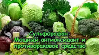 СУЛЬФОРАФАН. Мощный АНТИОКСИДАНТ и ПРОТИВО.Р.А.К.О.В.О.Е средство
