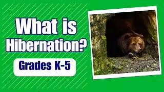 What is hibernation - More Grades 6-8 Science on Harmony Square