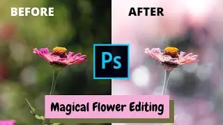 How to edit Soft & Dreamy flowers, Aesthetic color grading for Macro Photography Photoshop Tutorial