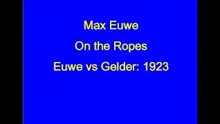 Max Euwe vs G J van Gelder: Amsterdam 1923