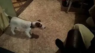 Рождество. Локи))