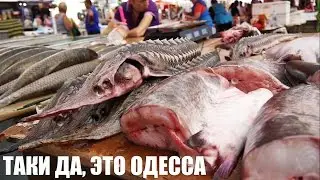 Одесса Привоз - Одесский рынок Привоз - Одесса Сегодня