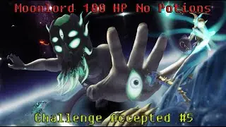 Terraria - Moonlord 100HP No Healing Potions.
