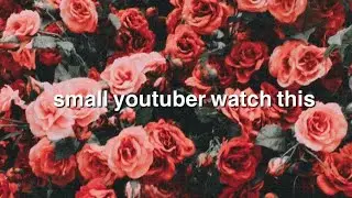Small youtuber watch this