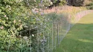 Golf Course Before Grazing | Clean Stream Edges & Restored Visibility ( Enclosure # 7)