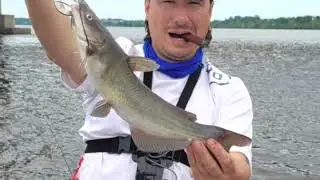 Fishing with Joe, episode 11, Today we’re fishing for catfish #catfish #catfishing #catfish_hunting