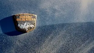The all-new 2024 Subaru Crosstrek Wilderness Livestreamed from the New York International Auto Show