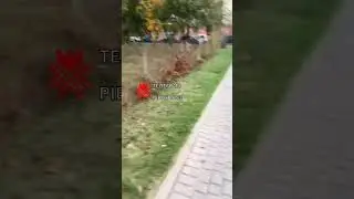 Затори на Щасливому