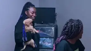 I WANT MY OWN APARTMENT PRANK *GETS HEATED*