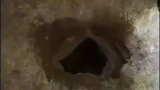 Elazığ'da Definecilere Şok Baskın