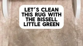Let’s Clean This Rug