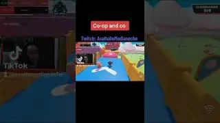 Co-op and co Review - Fall Guys