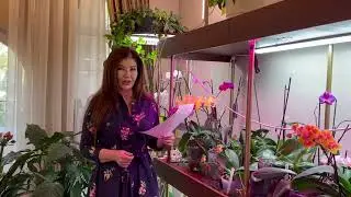 ПРОГНОЗ СТРИЖЕК 💇‍♀️ МАРТ 2️⃣0️⃣2️⃣2️⃣🌟
