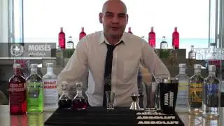 Absolut Akademi MoiRamirez Playa