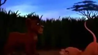 kovu meets kiara  (fandub with Melkundcookies)
