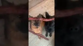 До конца пожалуйста 🙂