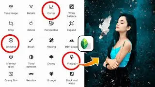 Snapseed Dark Tone Effect Photo Editing || Snapseed Background Colour Change Tutorial