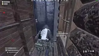 DayZ