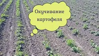 Окучивание картофеля мотоблоком