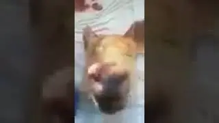 не Расстраивайся 0))