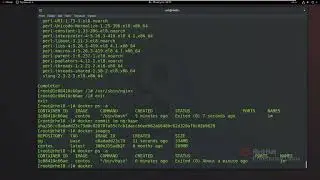 Небольшой Web проект используя docker контейнеры в Red Hat Linux
