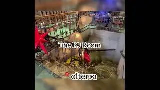 Olterra Kolkata | Food Vlog | Kolkata Vibe