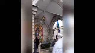 Голубь прилетел на Крещение Господне