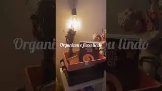 Organizador com caixa de papelão