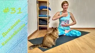 YogaFAQ#31: Дыхание Капалабхати