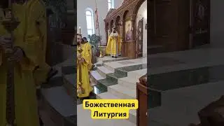 Божественная Литургия в неделю 17-ю по 50-тнице #упц #входоиерусалимскийхрамодесса #богослужение