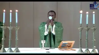 Sainte Messe du jour | 31ème Dimanche du T. O. -Année B | 03-11-2024 |  P. Achille José Nkomo B, FM