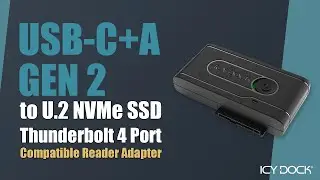 ICY DOCK USB-C+A to U.2 NVMe SSD Compatible Reader Adapter | EZ-Adapter Ex MB931U-1VB R1