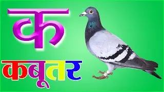 K Se Kabutar, Kamal Hindi Varnamala Song | K Se Kabutar Kha Se Khargosh | क से कबूतर, ख से खरगोश