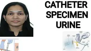 Catheter specimen urine# NMC OSCE#Catheter specimen collection #