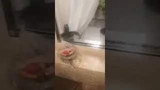 Полное Видео 
