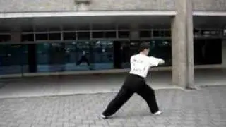 六合拳(liu ho fist)