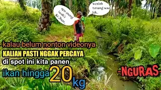 DRAINING THE DITCHES, THERE ARE LOTS OF FISH || HARVESTING UP TO 20 KG