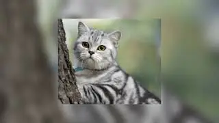 Банкомат {speed up} музыка