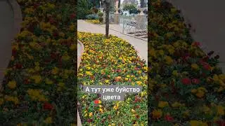 Удивительная красота обновления