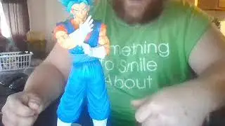 Vegito Review