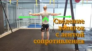 Сведение лопаток с лентой сопротивления. Техника выполнения