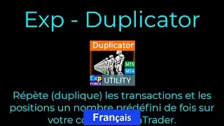 Français. Duplicateur - Duplication des signaux et des transactions/positions sur les MetaTrader.
