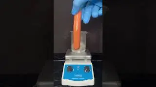 Hot Dog vs Piranha Solution!