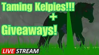 Taming KELPIES +Giveaways!!! Horse life Livestresm