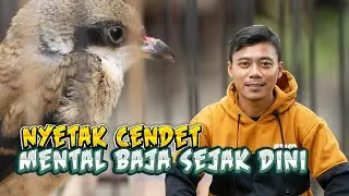 Nyetak Cendet Trotol Agar Mempunyai Mental Baja dan Fighter
