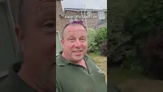 some watering will stop complete die off in summer