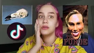 Svira na MRTVAČKOJ GLAVI GAVRANA?? ☠️ TIKTOK STRAŠNI KLIPOVI ( 2. DEO )